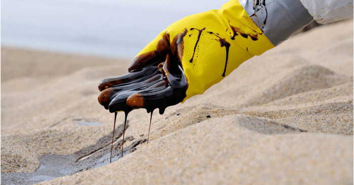 Environmental Insurance: What You Need to Know
