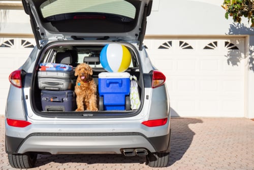 shutterstock_1480434971